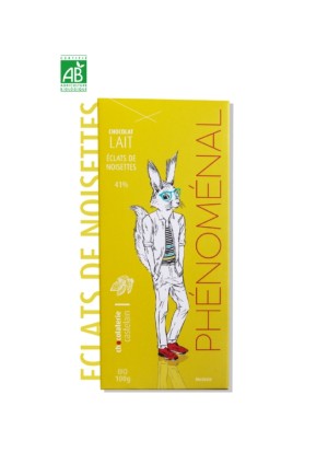 CHOCOLAT BIO - LAIT 41% NOISETTES - TABLETTES 100 GR